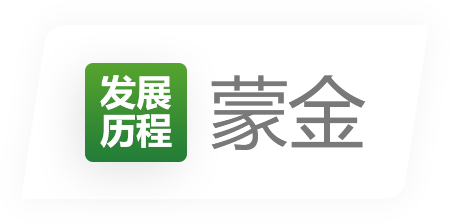 发展历程
