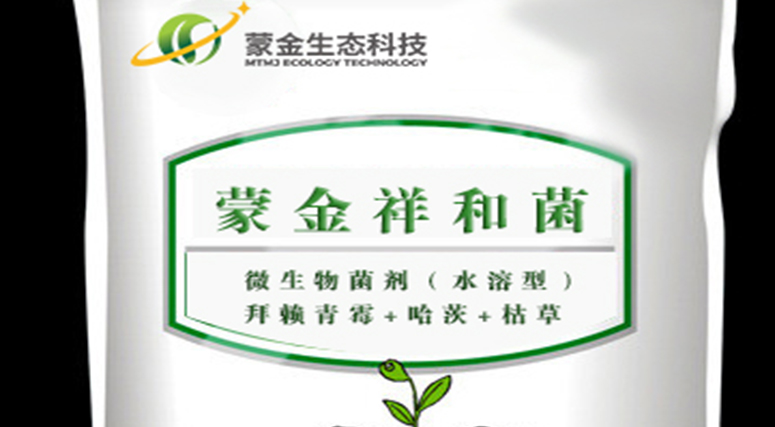 蒙金祥和菌对土壤生态系统具有多方面的积极影响