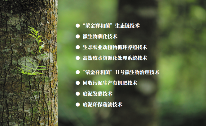 核心技术.png